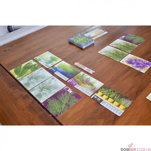 Herbaceous