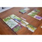Herbaceous