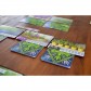 Herbaceous