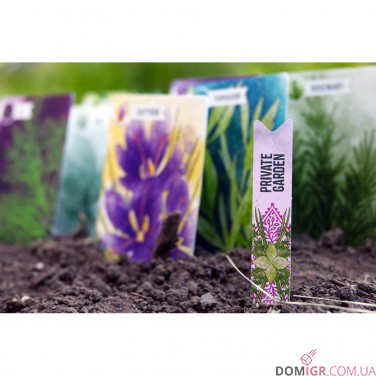 Herbaceous