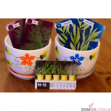 Herbaceous