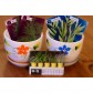 Herbaceous