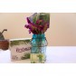 Herbaceous