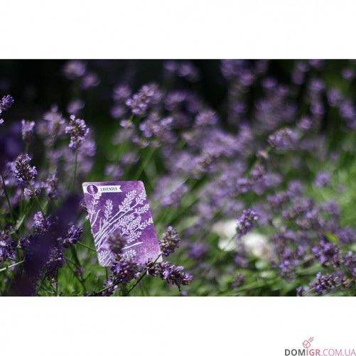 Herbaceous