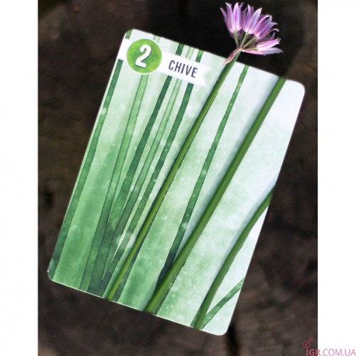 Herbaceous