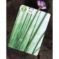 Herbaceous