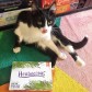 Herbaceous