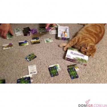 Herbaceous