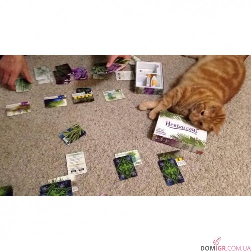 Herbaceous