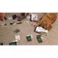 Herbaceous