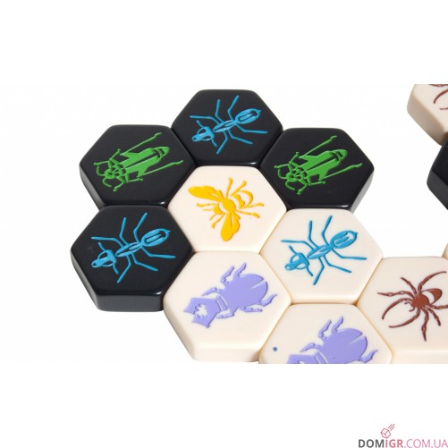 Hive Pocket (HexBox)