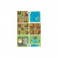 Honshu