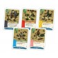 Imperial Settlers