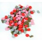 Imperial Settlers