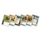 Imperial Settlers: Why can't We Be Friends