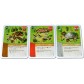 Imperial Settlers: Why can't We Be Friends