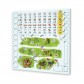 Imperial Settlers: Roll & Write