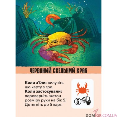 Купить Kelp: Акула проти восьминога Kelp: Акула проти восьминога