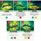 Купить Kelp: Акула проти восьминога Kelp: Акула проти восьминога