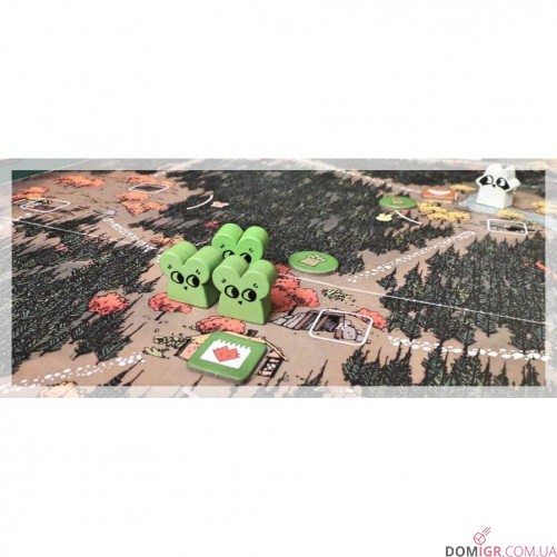 Root - англійскою