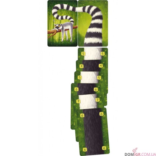 Лемурячі хвости