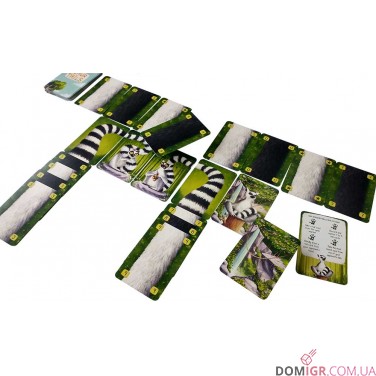 Купить Лемурячі хвости Лемурячі хвости