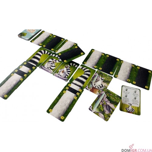 Лемурячі хвости