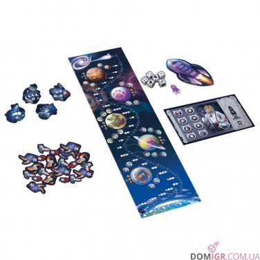 MLEM: Космічне агентство