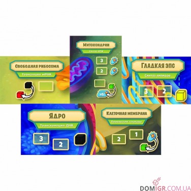 Микромир: Биология клетки