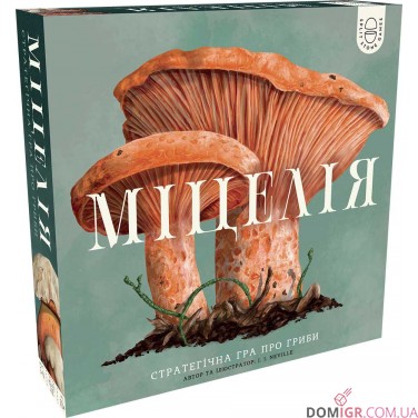 Міцелія
