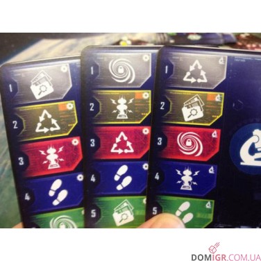 Multiuniversum