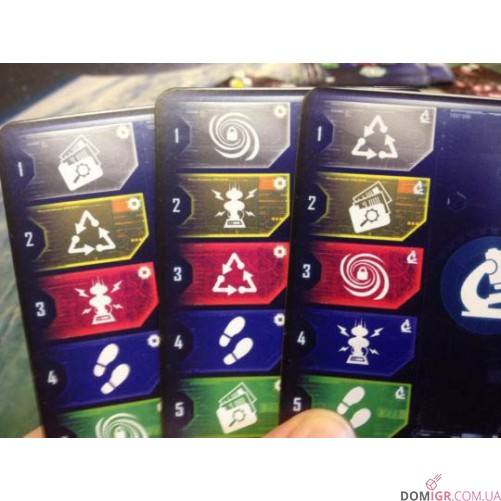 Multiuniversum