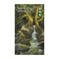 Купить Mystic Vale Mystic Vale