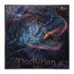 Nocturion
