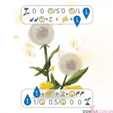 Petrichor: Flowers