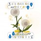 Petrichor: Flowers