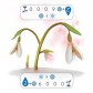 Petrichor: Flowers