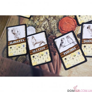 Robinson Crusoe: Adventures on the Cursed Island – Treasure Chest