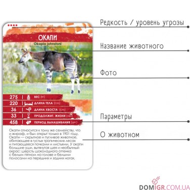 Секреты Планеты: Животные Африки
