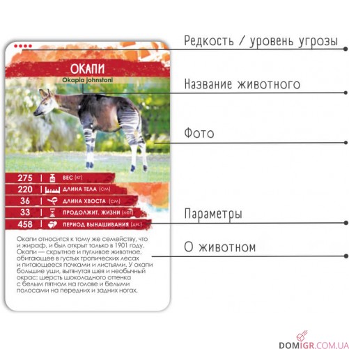 Секреты Планеты: Животные Африки