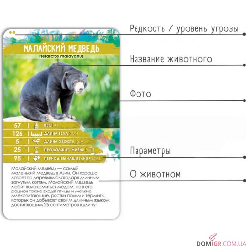Секреты Планеты: Животные Азии