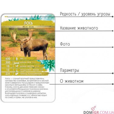 Секреты Планеты: Животные Европы