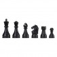 Шахи DGT Chess Box with clock