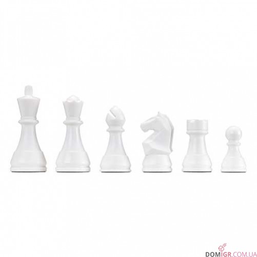 Шахи DGT Chess Box with clock