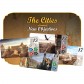 Купить Cities of Splendor Cities of Splendor