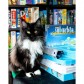 Купить Suburbia: Collector's Edition Suburbia: Collector's Edition