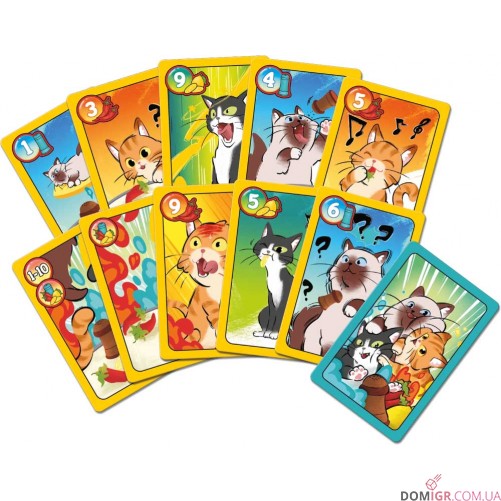 Sweet & Spicy: Битва котиків