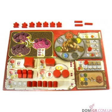 Terra Mystica (англ)
