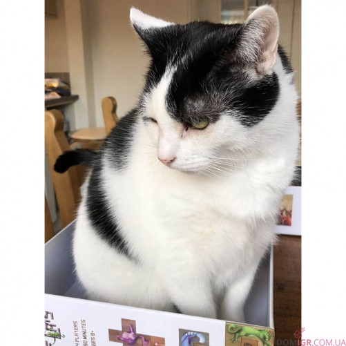 Острів котів (Укр)