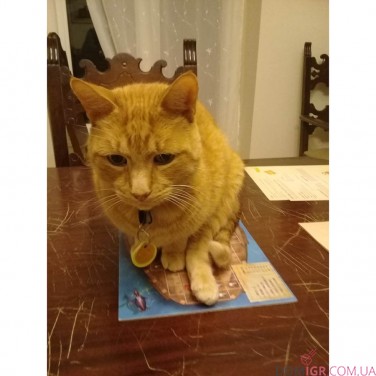 Острів котів — Запізнілі гості (Укр)